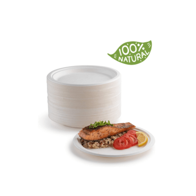  Biodegradable Compostable Natural Tree-Free Sugarcane Bagasse Plates Eco-friendly Disposable Dinner Plates Disposable Platters Wholesale  