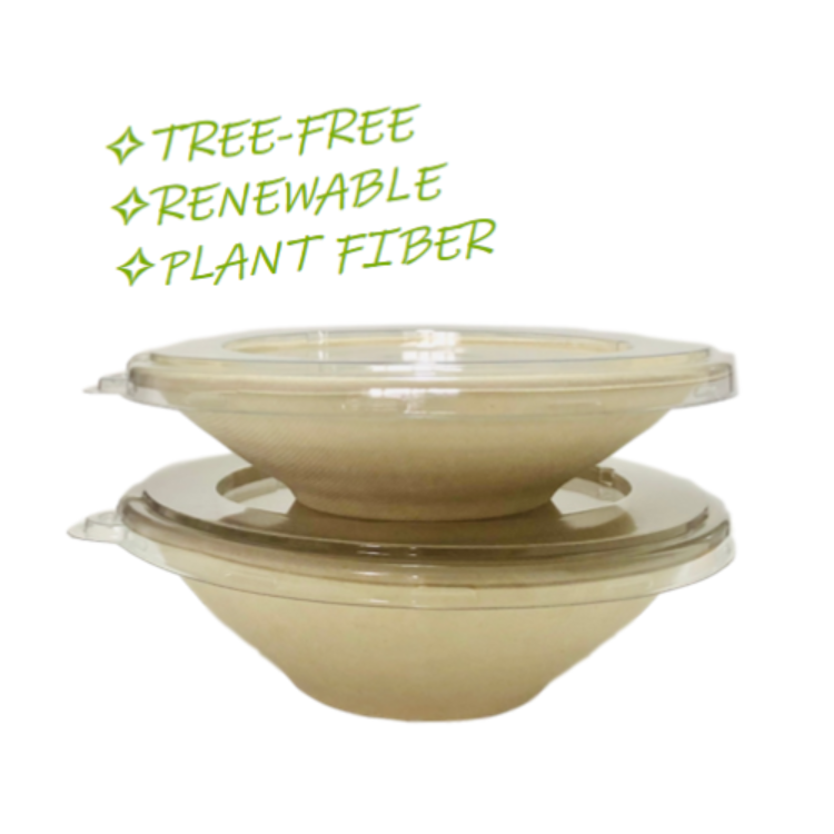  Tigelas de bagaço de cana-de-açúcar ecológicas para saladas biodegradáveis Recipientes para alimentos descartáveis compostáveis naturais sem árvore  