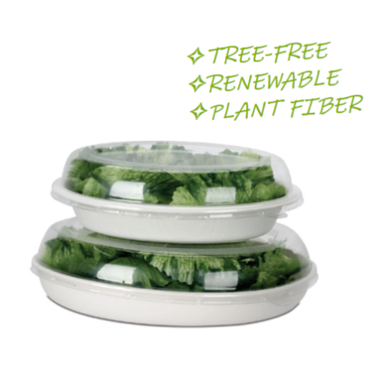  Tigelas de bagaço de cana-de-açúcar ecológicas para saladas biodegradáveis Recipientes para alimentos descartáveis compostáveis naturais sem árvore  