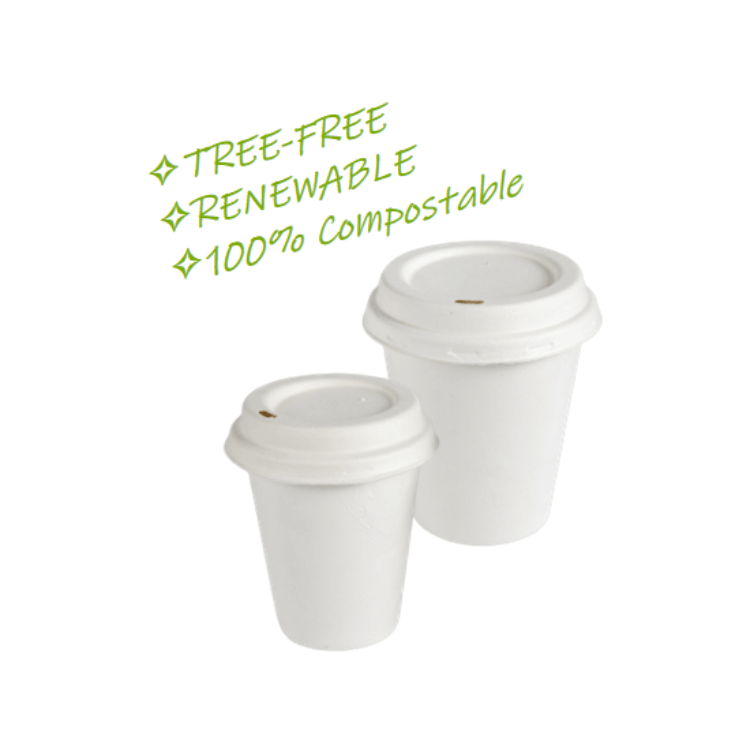  사탕수수 버개스 컵 생분해성 천연 나무가 없는 친환경적인 버개스 컵(뚜껑 포함) 도매 퇴비화 컵(뚜껑 포함)  