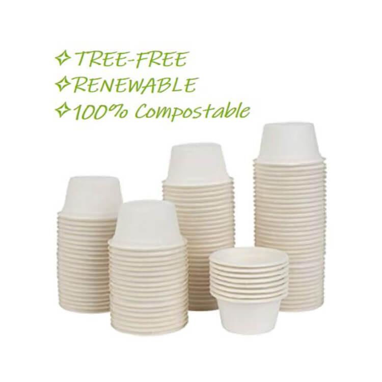  Vasos de bagazo de caña de azúcar Vasos de bagazo biodegradables naturales sin árboles ecológicos con tapas Vasos compostables al por mayor con tapas  