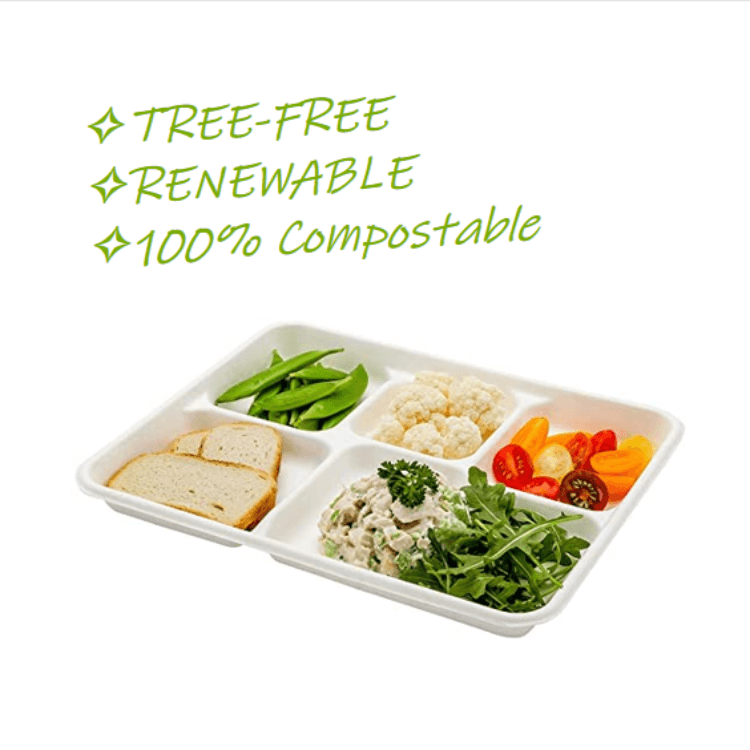  100% Biodegradable Bagasse School Lunch Trays Compostable Bagasse Produce Trays Natural Tree-free Fruit Trays Bagasse Meal Trays Eco-Friendly Sugarcane Bagasse Trays Disposable Food Trays  